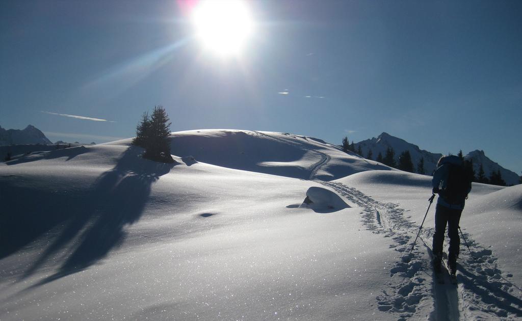 Pension Steiermark Schladming Luaran gambar